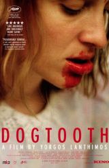 ეშვი / Kynodontas (Dogtooth)