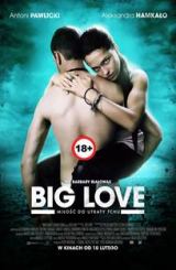 დიდი სიყვარული / Big Love / Большая любовь / didi siyvaruli