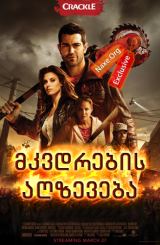 მკვდრების აღზევება (ქართულად) / Dead Rising: Watchtower / mkvdrebis agzeveba (qartulad)