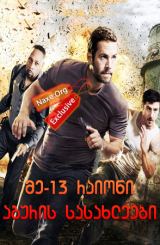 მე-13 რაიონი: აგურის სასახლეები / Brick Mansions