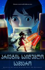 არიეტის საიდუმლო სამყარო / arietis saidumlo samyaro