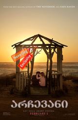 არჩევანი (ქართულად) / The Choice