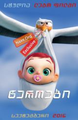 წეროები / Storks