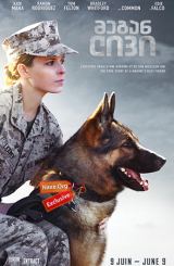 მეგან ლივი (ქართულად) / Megan Leavey / megan livi (qartulad)