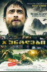 ჯუნგლები / Jungle
