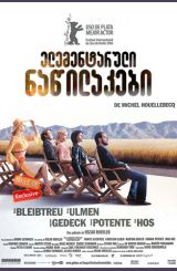 ელემენტარული ნაწილაკები (ქართულად) / The Elementary Particles / Elementarteilchen / elementaruli nawilakebi (qartulad)