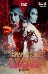 პროტოკოლის გარეშე (ქართულად) / Kayitdisi