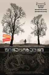 ტირანოზავრი (ქართულად) / Tyrannosaur / tiranozavri (qartulad)