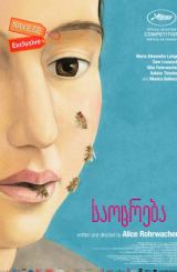 საოცრება (ქართულად) / The Wonders / Le Meraviglie / saocreba (qartulad)