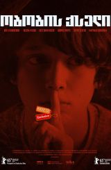 ობობის ქსელი / The Spiderwebhouse (Im Spinnwebhaus)