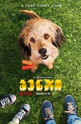 ბენჯი (ქართულად) / Benji