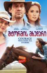 შტორმის მხედარი (ქართულად) / Storm Rider / shtormis mxedari (qartulad)