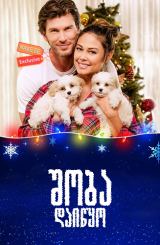 შობა დაიწყო / Christmas Unleashed