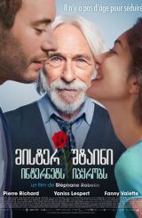 მისტერ შტაინი ინტერნეტს იპყრობს / Mr. Stein Goes Online / Un profil pour deux / mister shtaini internets ipyrobs