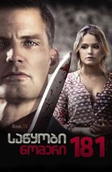 საწყობი ნომერი 181 / Storage Locker 181 / The Last Bid / sawyobi nomeri 181