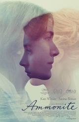 ამონიტი / Ammonite