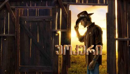 უოკერი / Walker