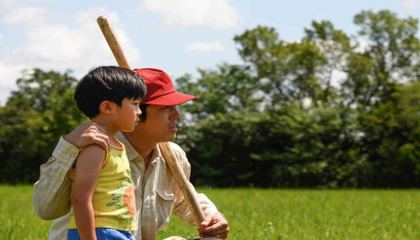 მინარი / Minari