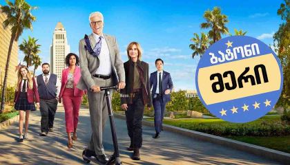 ბატონი მერი / Mr. Mayor