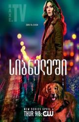 სიბნელეში / In the Dark