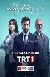 ორგანიზაცია / Teskilat, Ankara (დაზვერვა)