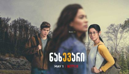 ნახევარი / The Half of It