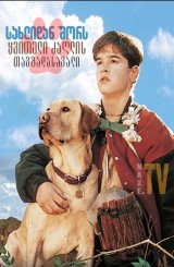 სახლიდან შორს: ყვითელი ძაღლის თავგადასავალი / Far from Home: The Adventures of Yellow Dog