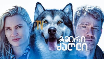 გმირი ძაღლი / Hero Dog: The Journey Home
