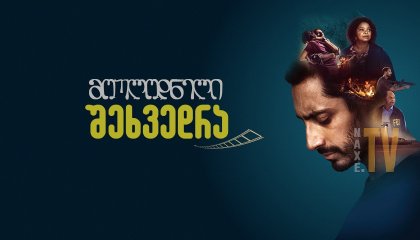 მოულოდნელი შეხვედრა / Encounter