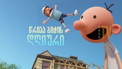 წრიპა ბიჭის დღიური / Diary of a Wimpy Kid