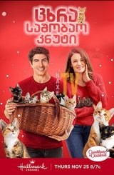 ცხრა საშობაო კნუტი / The Nine Kittens of Christmas