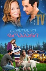 საშობაო ზღაპარი / Christmas Tail