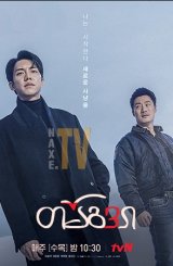 თაგვი / Mouse