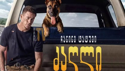 ძაღლი / dzagli