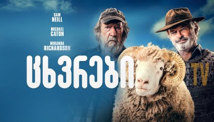 ცხვრები / Rams