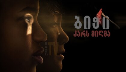 ბიჭი კარს მიღმა / The Boy Behind the Door