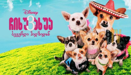 ჩიხუახუა ბევერლი ჰილზიდან 3 / Beverly Hills Chihuahua 3: Viva La Fiesta!