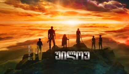 უილოუ / Willow