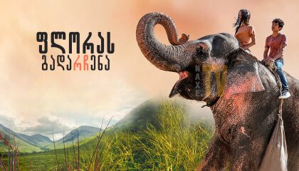 ფლორას გადარჩენა / Saving Flora