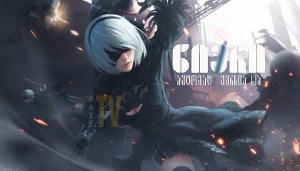 ნიერი: ავტომატა ვერსია 1.1ა / NieR: Automata Ver1.1a