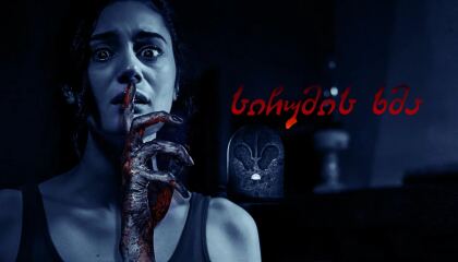 სიჩუმის ხმა / Sound of Silence