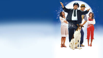 თაფლობის თვის შემდეგ / The Honeymooners