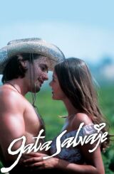 ველური კატა / Gata salvaje