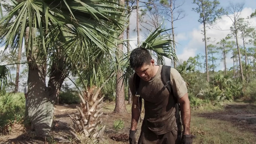 სტანდარტი  ქართულად -  The Standard