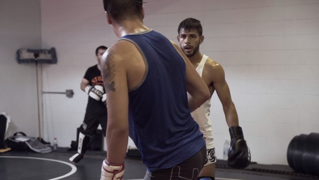 პანტერა  ქართულად -  El Pantera