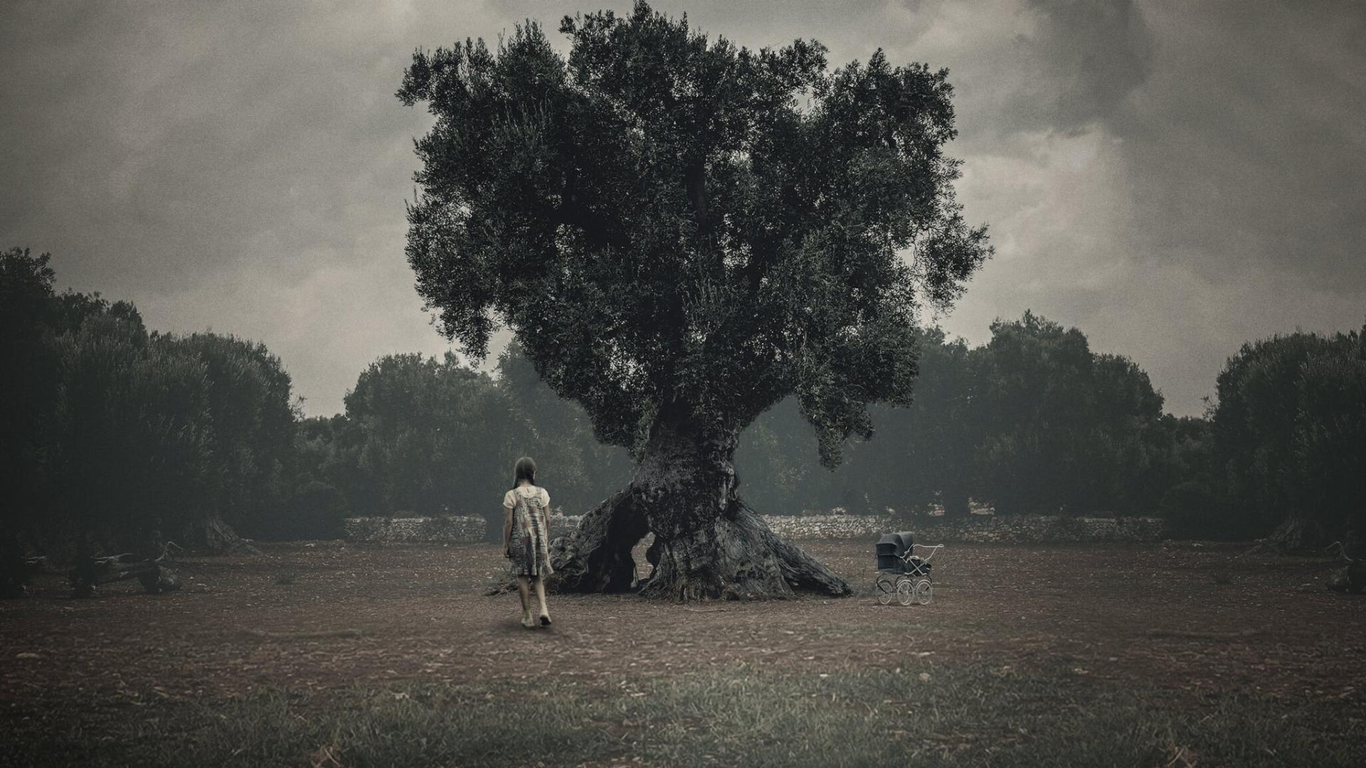 კავშირი  ქართულად -  The Binding