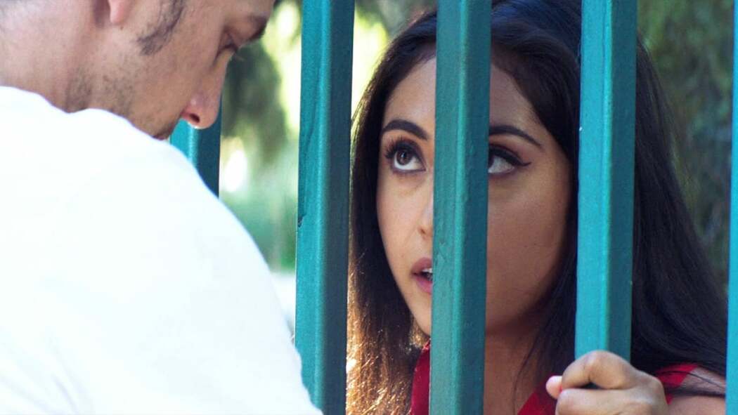 მექსიკის კედელი  ქართულად -  The Wall of Mexico