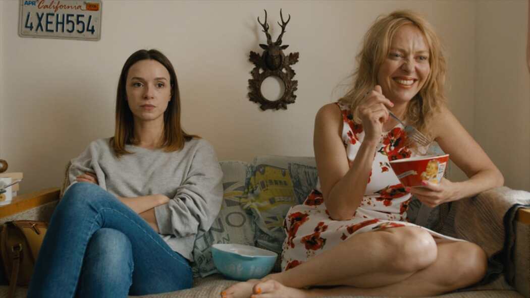 გამანადგურებელი  ქართულად -  Homewrecker