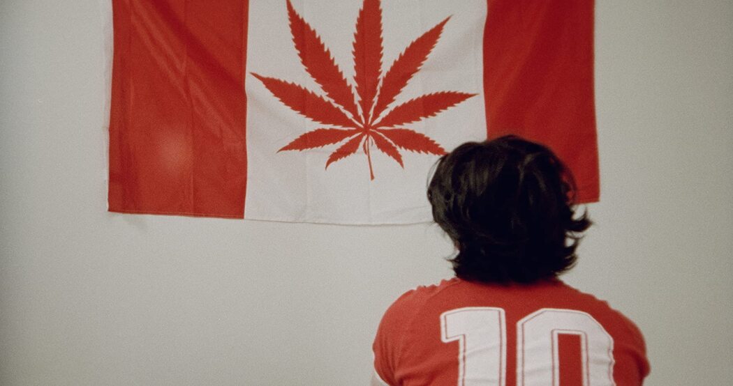 სოლიტერი  ქართულად -  Tapeworm