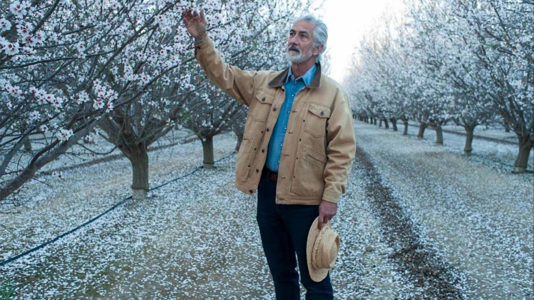 ეშმაკს სახელი ჰქვია  ქართულად -  The Devil Has a Name